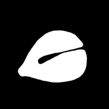 智慧木鱼app