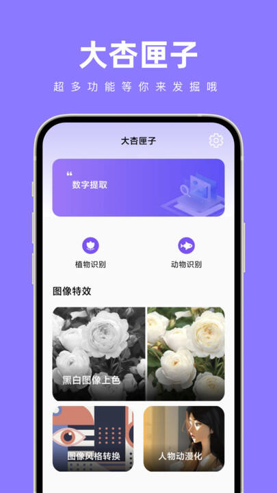 大杏匣子app下载官方最新版