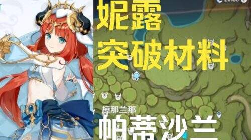 原神3.6版本帕蒂沙兰采集点有哪些