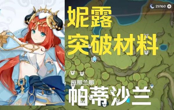原神3.6版本帕蒂沙兰采集点有哪些
