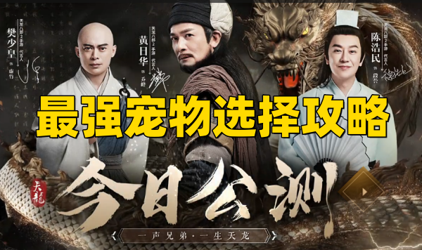 天龙八部2最强宠物选择攻略