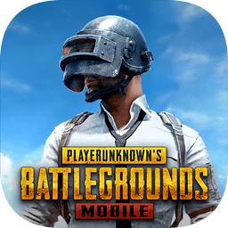 正版pubg国际服手游下载