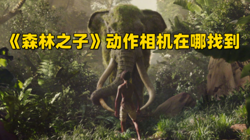 《森林之子》动作相机在哪找到