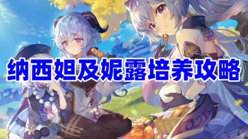 《原神》3.6版本纳西妲及妮露怎么培养
