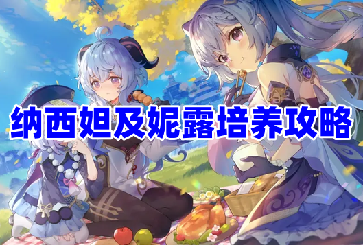 《原神》3.6版本纳西妲及妮露怎么培养