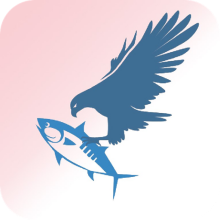 渔遥渔鹰app
