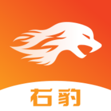 右豹官方app下载