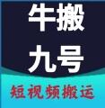 牛搬九号搬运软件免费