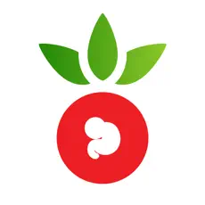 番茄备孕app