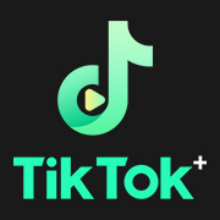 tiktok图标绿色版