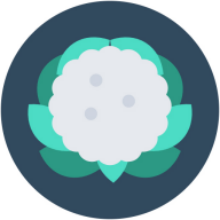 thuay旅游交友app