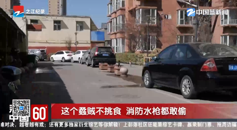 万达影视仓2025最新版免费下载
