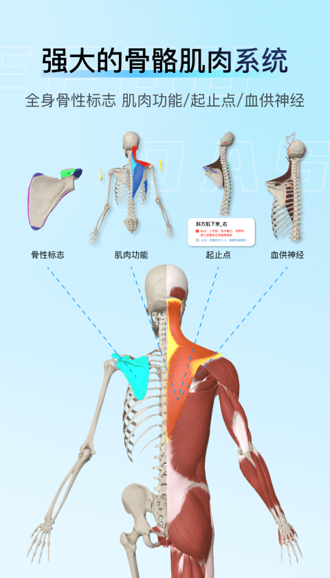 3d解剖大师软件安卓最新版下载