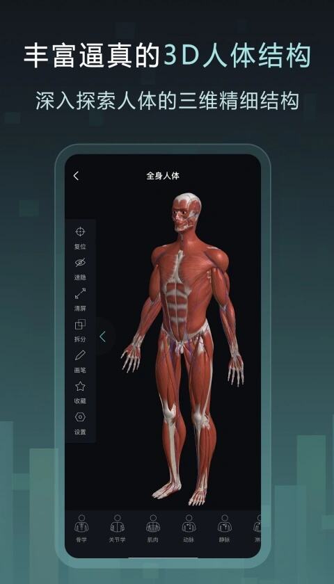 Easy解剖软件下载官方免费版