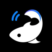 锦鲤翻译app下载
