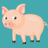 metv直播最新版电视版