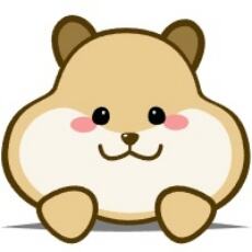 仓鼠4k影视app2026最新版下载